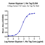 Human Glypican 1/GPC1 Protein (GPC-HM111)