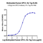 Biotinylated Human GPC3/Glypican 3 Protein (GPC-HM431B)