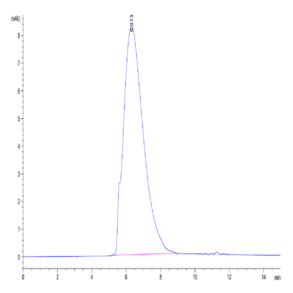 Mouse Glypican 2/GPC2 Protein (GPC-MM121) Mouse Glypican 2/GPC2 Protein (GPC-MM121)