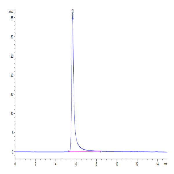 Cynomolgus GPRC5D Protein-VLP (GPR-CM05P)