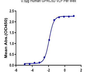 Human GPRC5D Protein-VLP (GPR-HM05P)