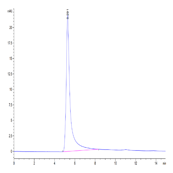 Human GPRC5D Protein-VLP (GPR-HM05P)