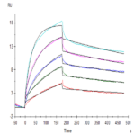 Biotinylated Human GPRC5D Protein-VLP (GPR-HM05PB)