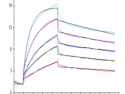 Biotinylated Human GPRC5D Protein-VLP (GPR-HM05PB)