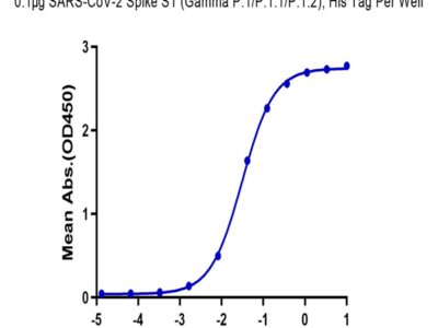 SARS-CoV-2 Spike S1 (Gamma P.1/P.1.1/P.1.2) Protein (GPS-VM1S1)