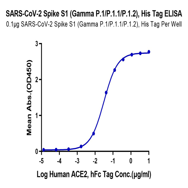 SARS-CoV-2 Spike S1 (Gamma P.1/P.1.1/P.1.2) Protein (GPS-VM1S1) SARS-CoV-2 Spike S1 (Gamma P.1/P.1.1/P.1.2) Protein (GPS-VM1S1)