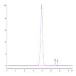 SARS-CoV-2 Spike S1 (Gamma P.1/P.1.1/P.1.2) Protein (GPS-VM1S1)