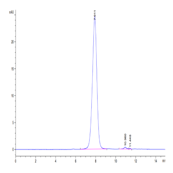 SARS-CoV-2 Spike S1 (Gamma P.1/P.1.1/P.1.2) Protein (GPS-VM1S1)