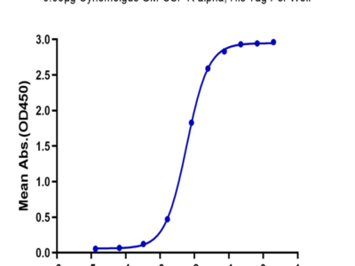 Cynomolgus GM-CSF R alpha Protein (GSF-CM1RA)