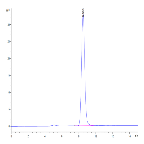 Cynomolgus GM-CSF R alpha Protein (GSF-CM1RA)