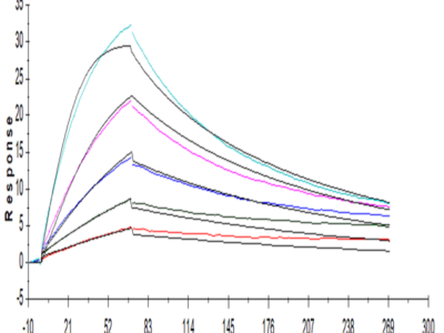 Human GM-CSF Protein (GSF-HE001)