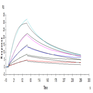 Human GM-CSF R alpha Protein (GSF-HM1RA)