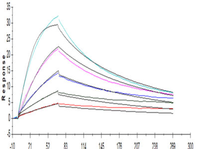 Human GM-CSF R alpha Protein (GSF-HM1RA)