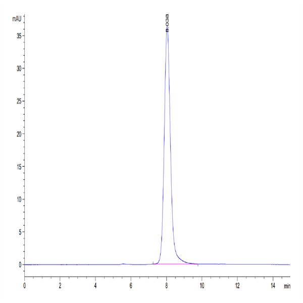 Human GM-CSF R alpha Protein (GSF-HM1RA)