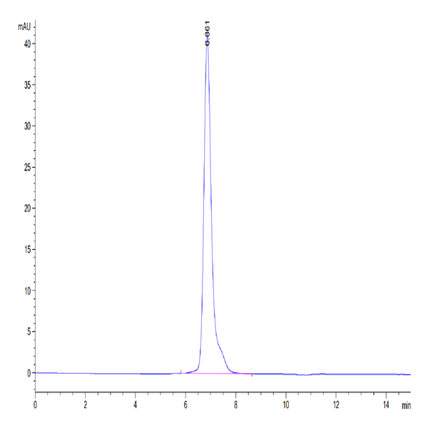 Human GM-CSF R alpha Protein (GSF-HM2RA)