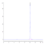 Mouse GM-CSF Protein (GSF-ME001)