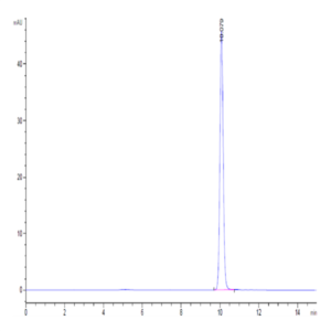 Mouse GM-CSF Protein (GSF-ME001)