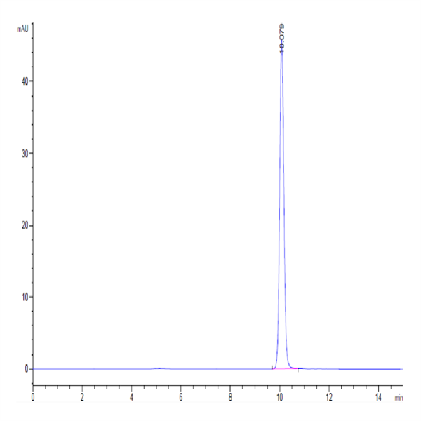 Mouse GM-CSF Protein (GSF-ME001)