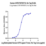 Human GITR/TNFRSF18 Protein (GTR-HM101)