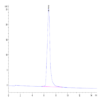 Human HAI-1 Protein (HAI-HM11A)