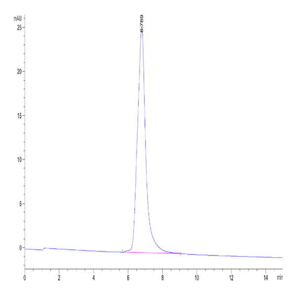 Human HAI-1 Protein (HAI-HM11A) Human HAI-1 Protein (HAI-HM11A)