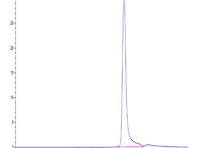 Human Azurocidin/CAP37/AZU1/HBP Protein (HBP-HM101)