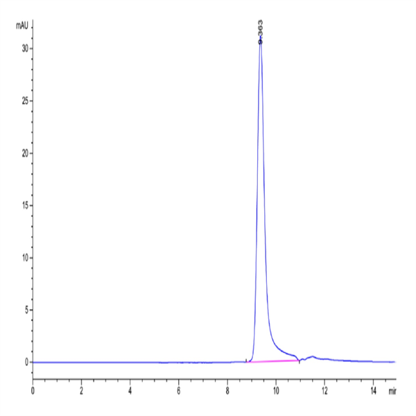 Human Azurocidin/CAP37/AZU1/HBP Protein (HBP-HM101) Human Azurocidin/CAP37/AZU1/HBP Protein (HBP-HM101)