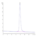 Canine HE4 Protein (HE4-DM204)