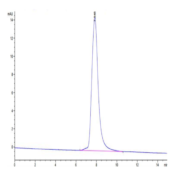Canine HE4 Protein (HE4-DM204) Canine HE4 Protein (HE4-DM204)