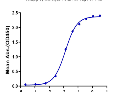 Cynomolgus Her2/ErbB2 Protein (HER-CM102)