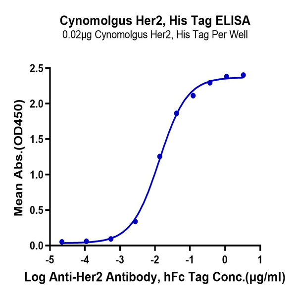 Cynomolgus Her2/ErbB2 Protein (HER-CM102) Cynomolgus Her2/ErbB2 Protein (HER-CM102)