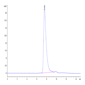 Cynomolgus Her2/ErbB2 Protein (HER-CM102)