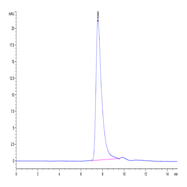 Cynomolgus Her2/ErbB2 Protein (HER-CM102)