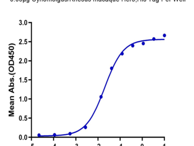 Cynomolgus/Rhesus macaque Her3 Protein (HER-CM403)