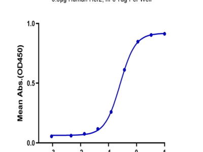 Human Her2/ErbB2 Protein (HER-HM202)