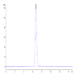 Human Her2/ErbB2 Protein (HER-HM202)