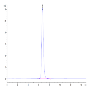 Human Her2/ErbB2 Protein (HER-HM202)