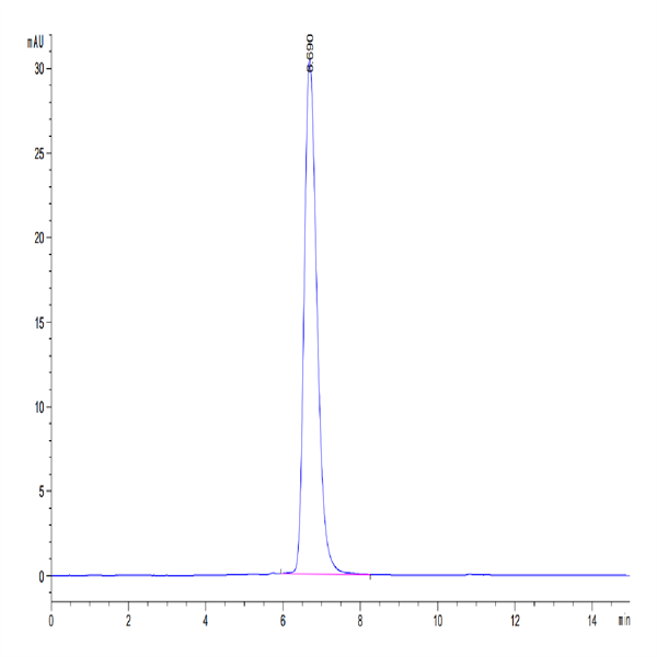 Human Her2/ErbB2 Protein (HER-HM202)