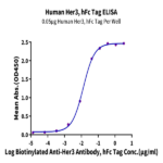 Human Her3/ErbB3 Protein (HER-HM203)
