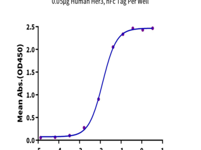 Human Her3/ErbB3 Protein (HER-HM203)