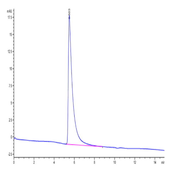 Human Her3/ErbB3 Protein (HER-HM203)
