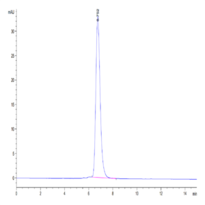 Human Her4/ErbB4 Protein (HER-HM204)