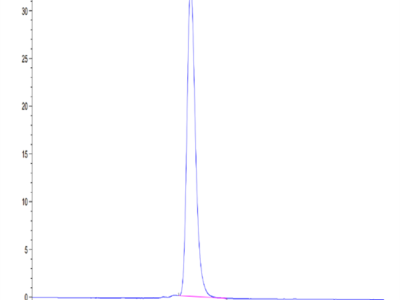 Human Her4/ErbB4 Protein (HER-HM204)