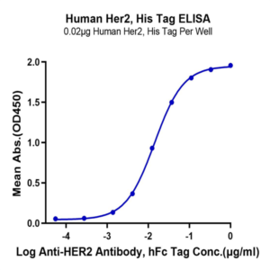 Human Her2/ErbB2 Protein (HER-HM402)