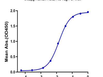 Human Her2/ErbB2 Protein (HER-HM402)