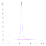 Human Her2/ErbB2 Protein (HER-HM402)