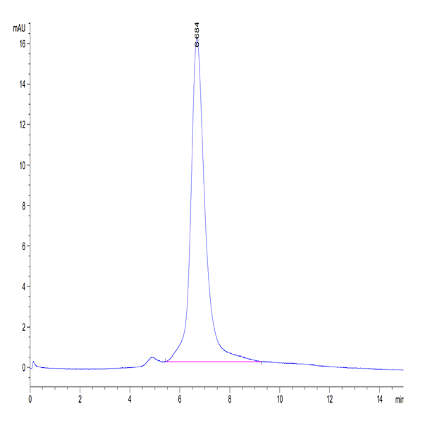 Human Her2/ErbB2 Protein (HER-HM402)