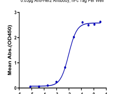 Biotinylated Human Her2/ErbB2 Protein (HER-HM402B)