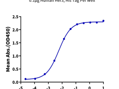Human Her3/ErbB3 Protein (HER-HM403)