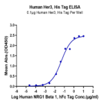 Human Her3/ErbB3 Protein (HER-HM403)